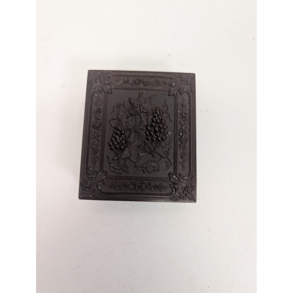 Antique Daguerreotype Photo Woman Portrait Thermoplastic Union Case Hand Tinted